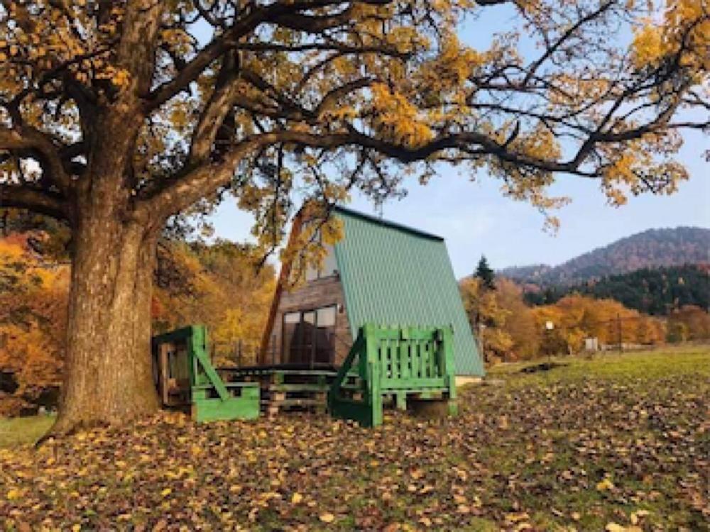 Фото Hut in the Forest - Qokhi Tkeshi
