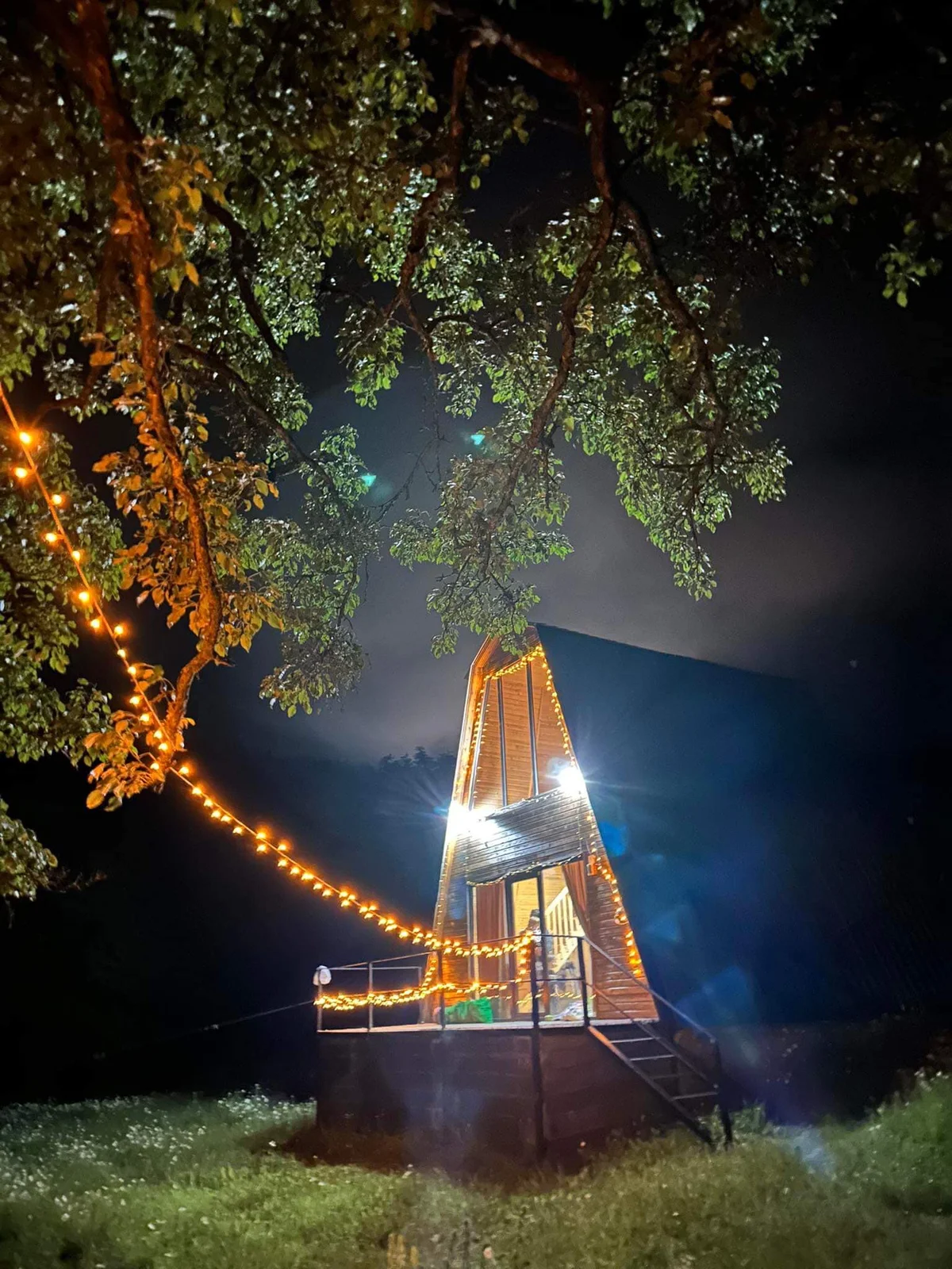 Photo of Hut in the Forest - Qokhi Tkeshi