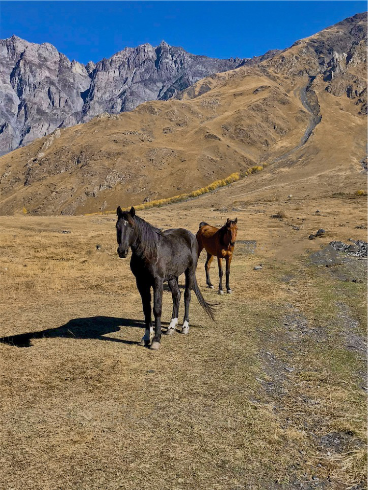 Photo of Kazbegi Inn Cottages