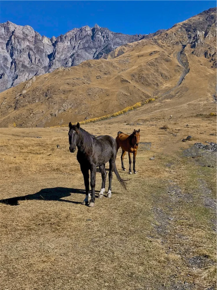 Photo of Kazbegi Inn Cottages