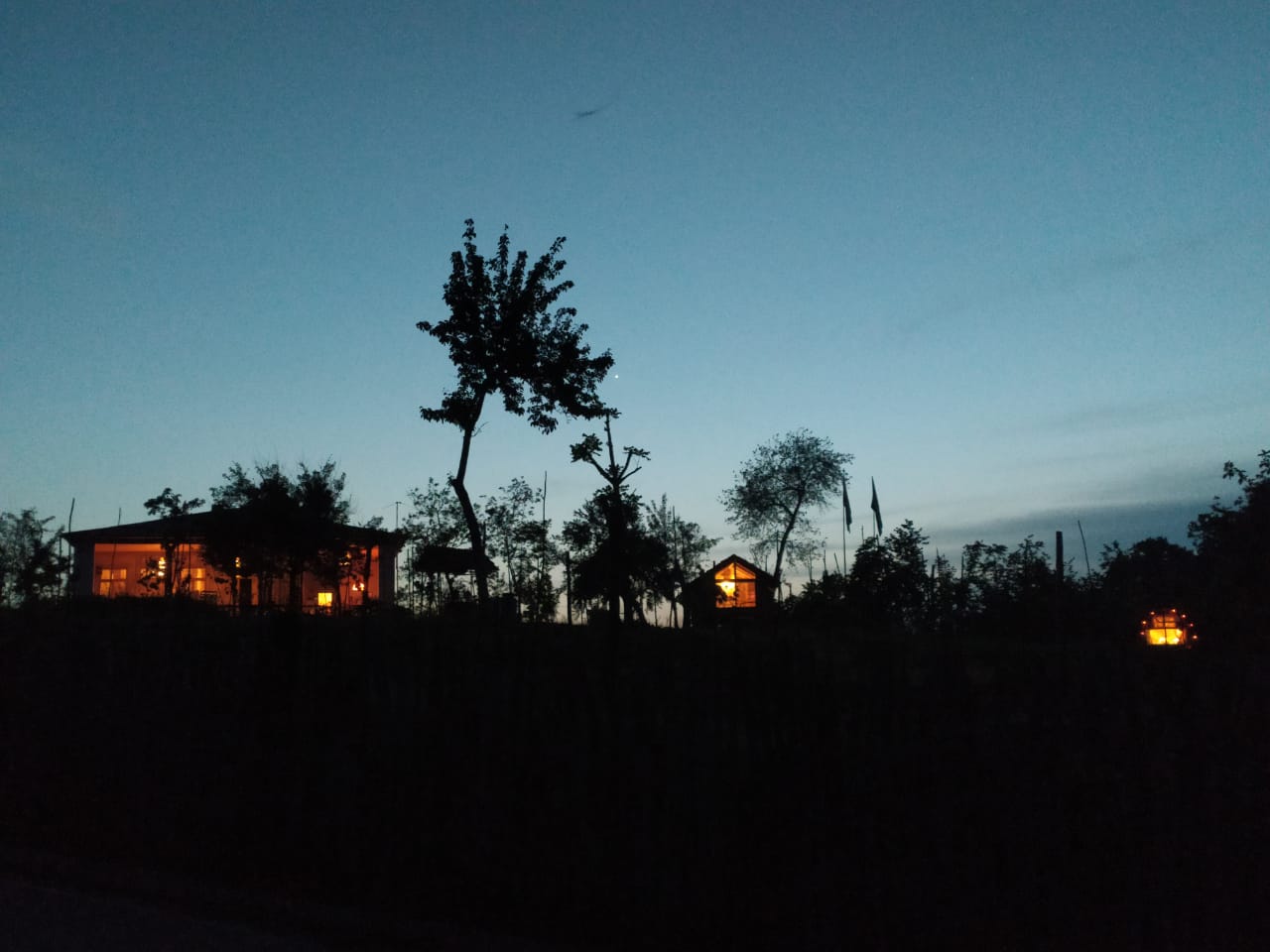 Фото Komli