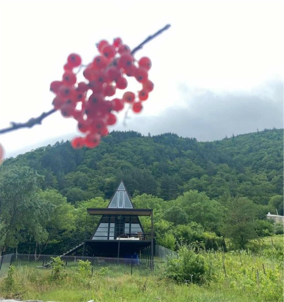 Photo of Kvishkheti