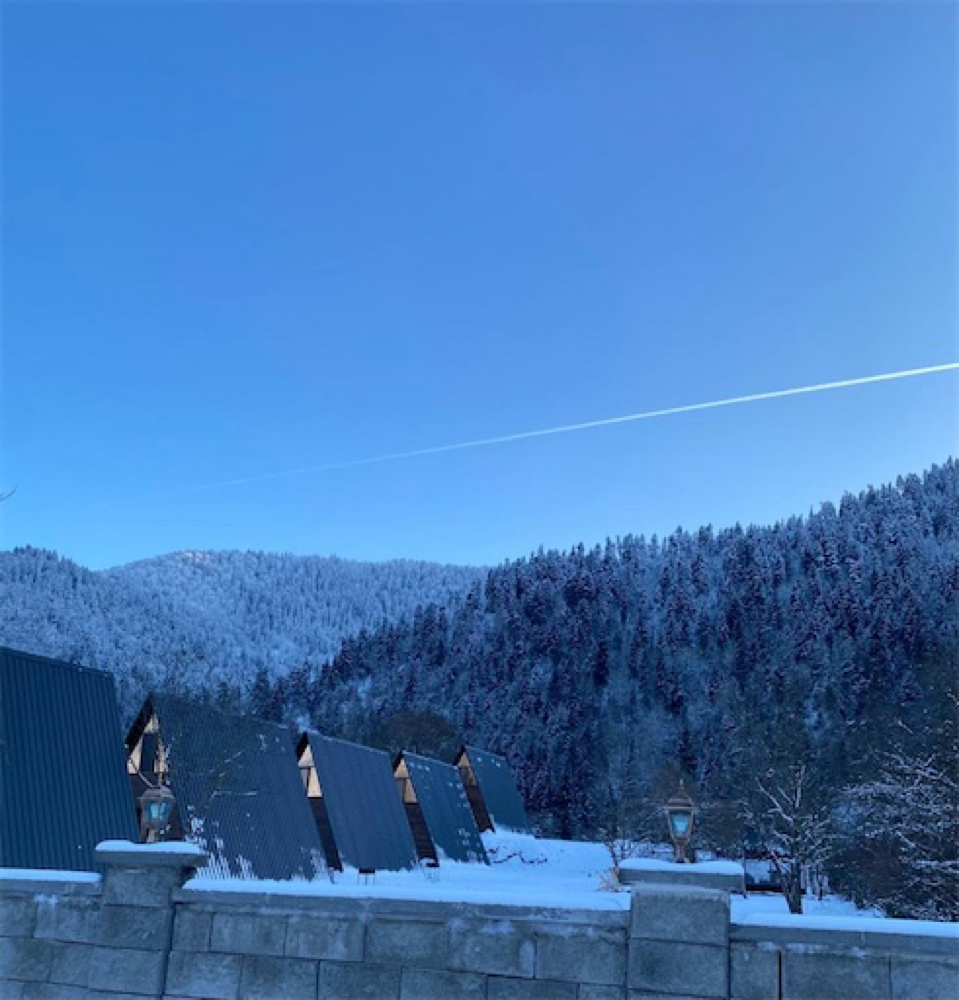 Фото Landhaus Borjomi