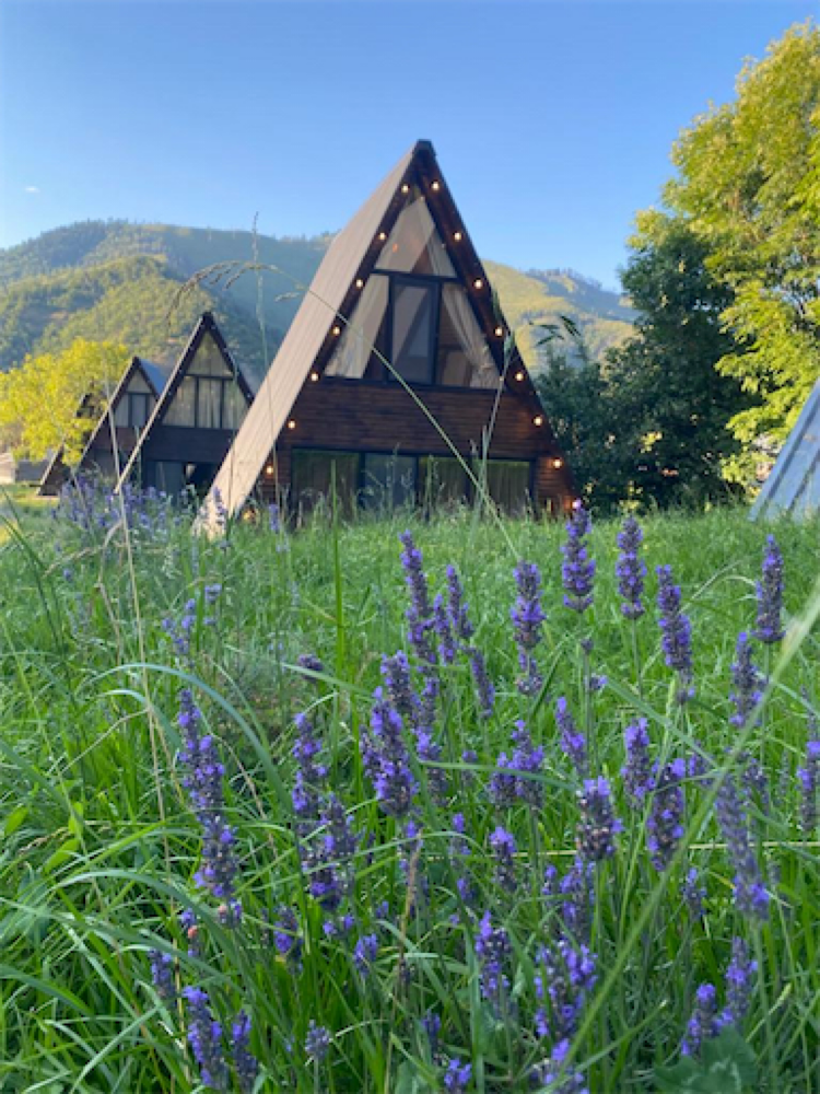 Фото Landhaus Borjomi
