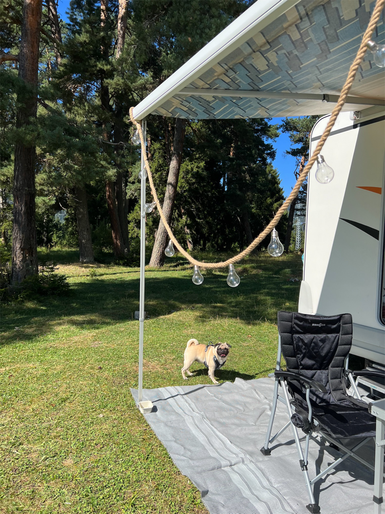 Photo of Motorhome Georgia