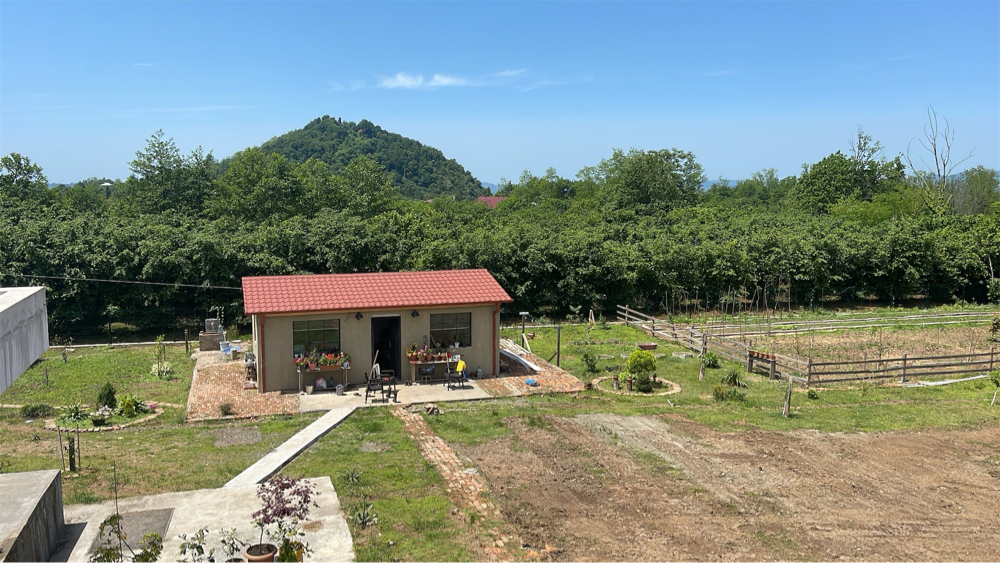Photo of Shemokmedi Camping