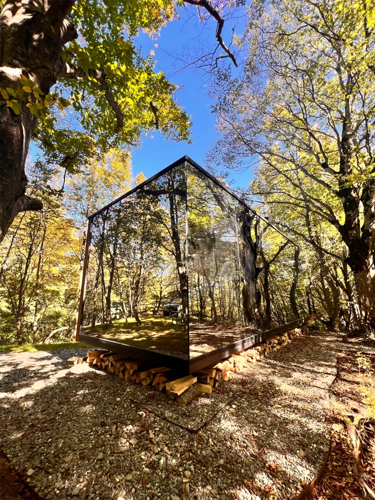 Stay Mirror House