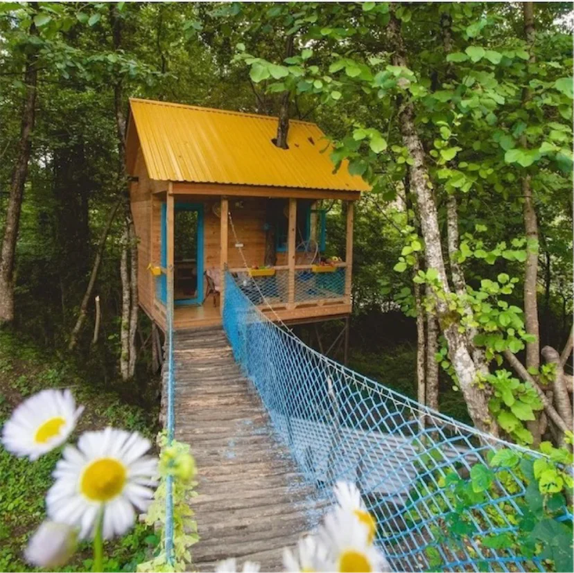 Tree House 🏡