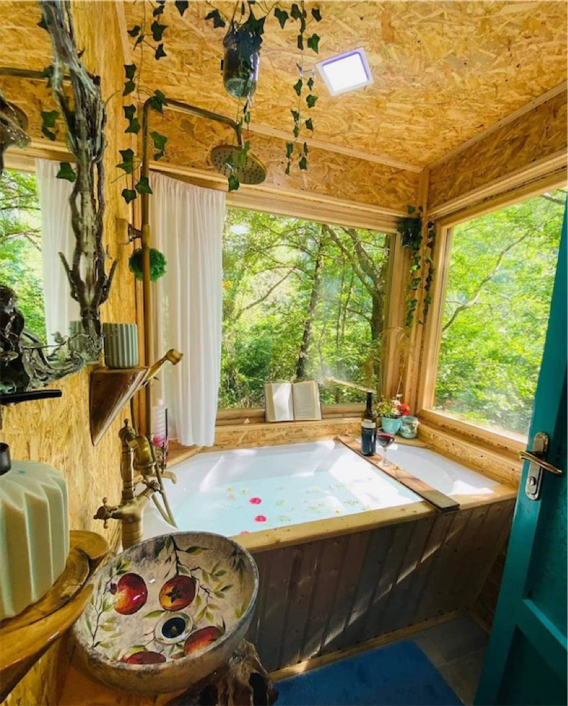 Фото Tree House 🏡