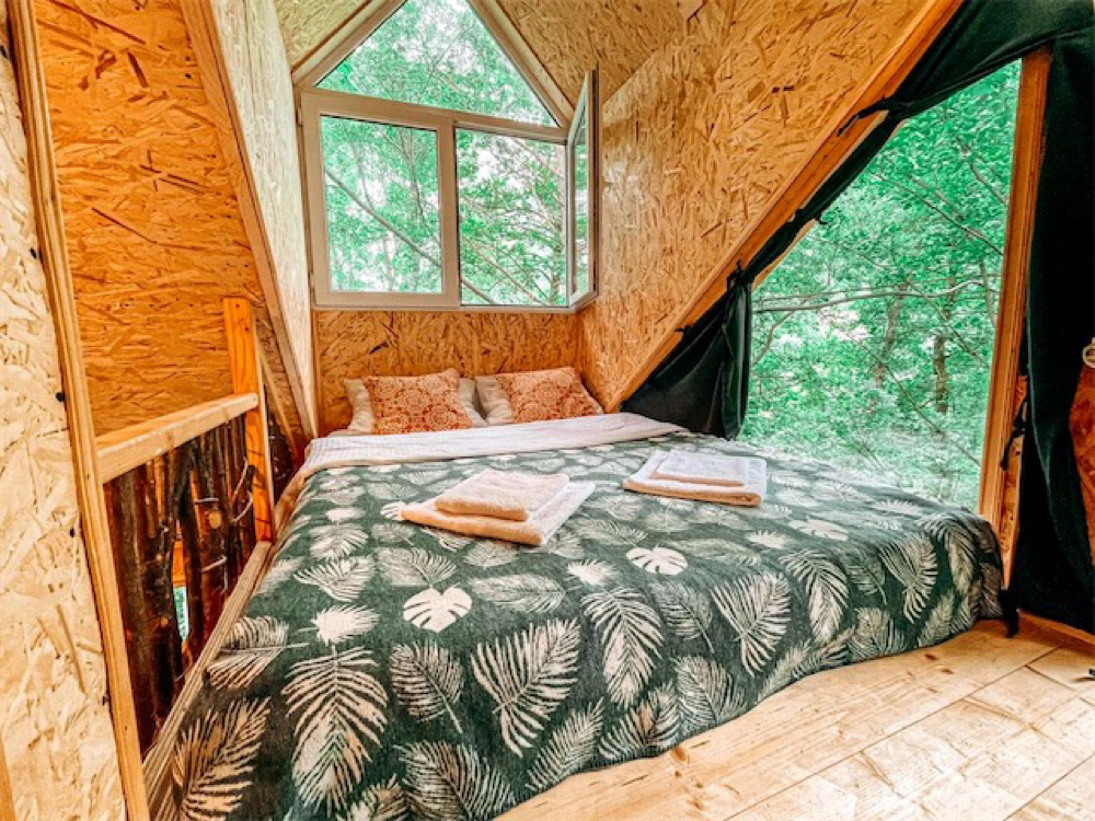 Фото Tree House 🏡