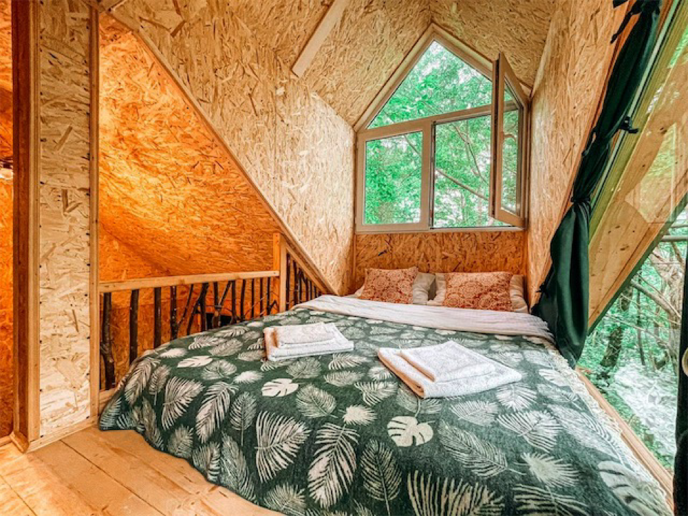 Фото Tree House 🏡