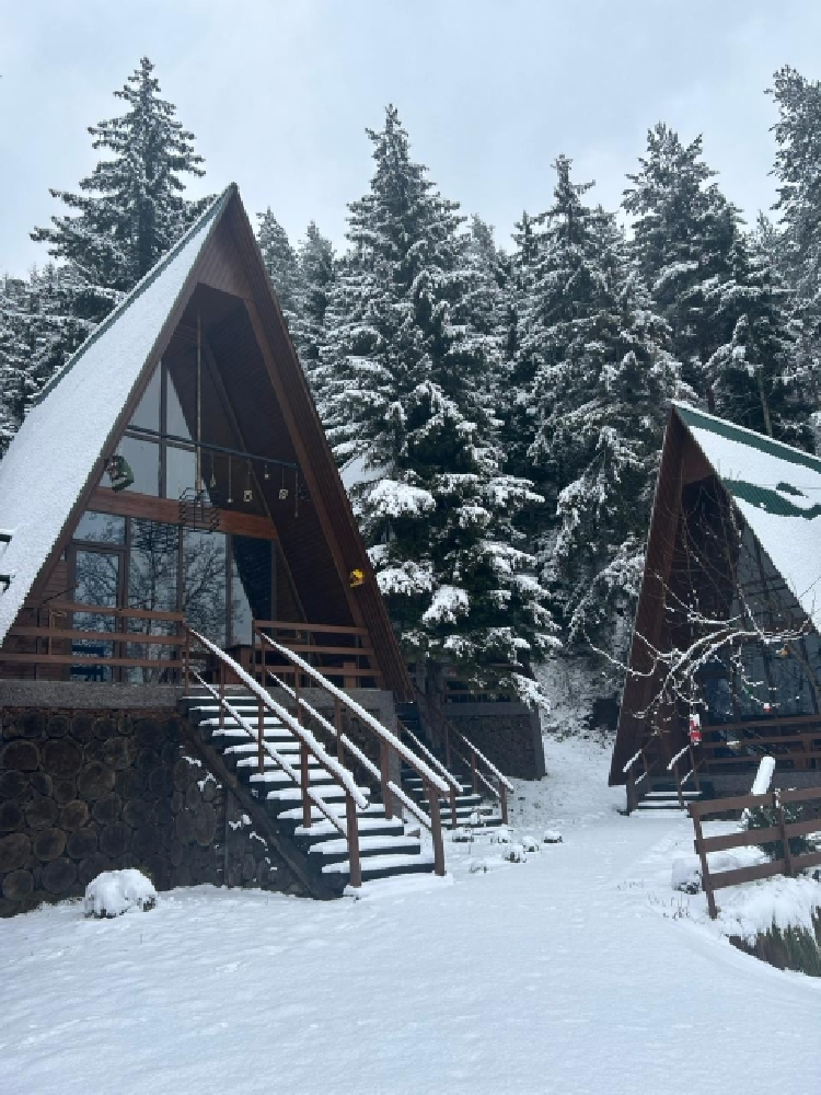 Photo of Unique Cottage in Tsaghveri