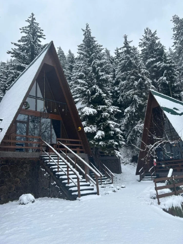Photo of Unique Cottage in Tsaghveri
