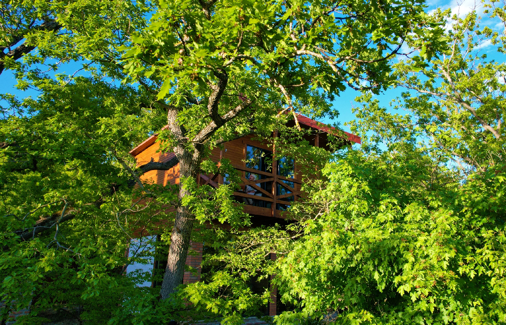 Фото Villa Vejini Cottage