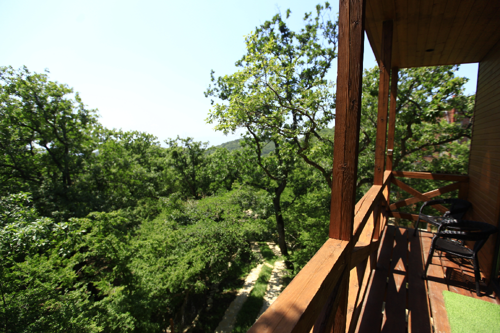 Фото Villa Vejini Cottage