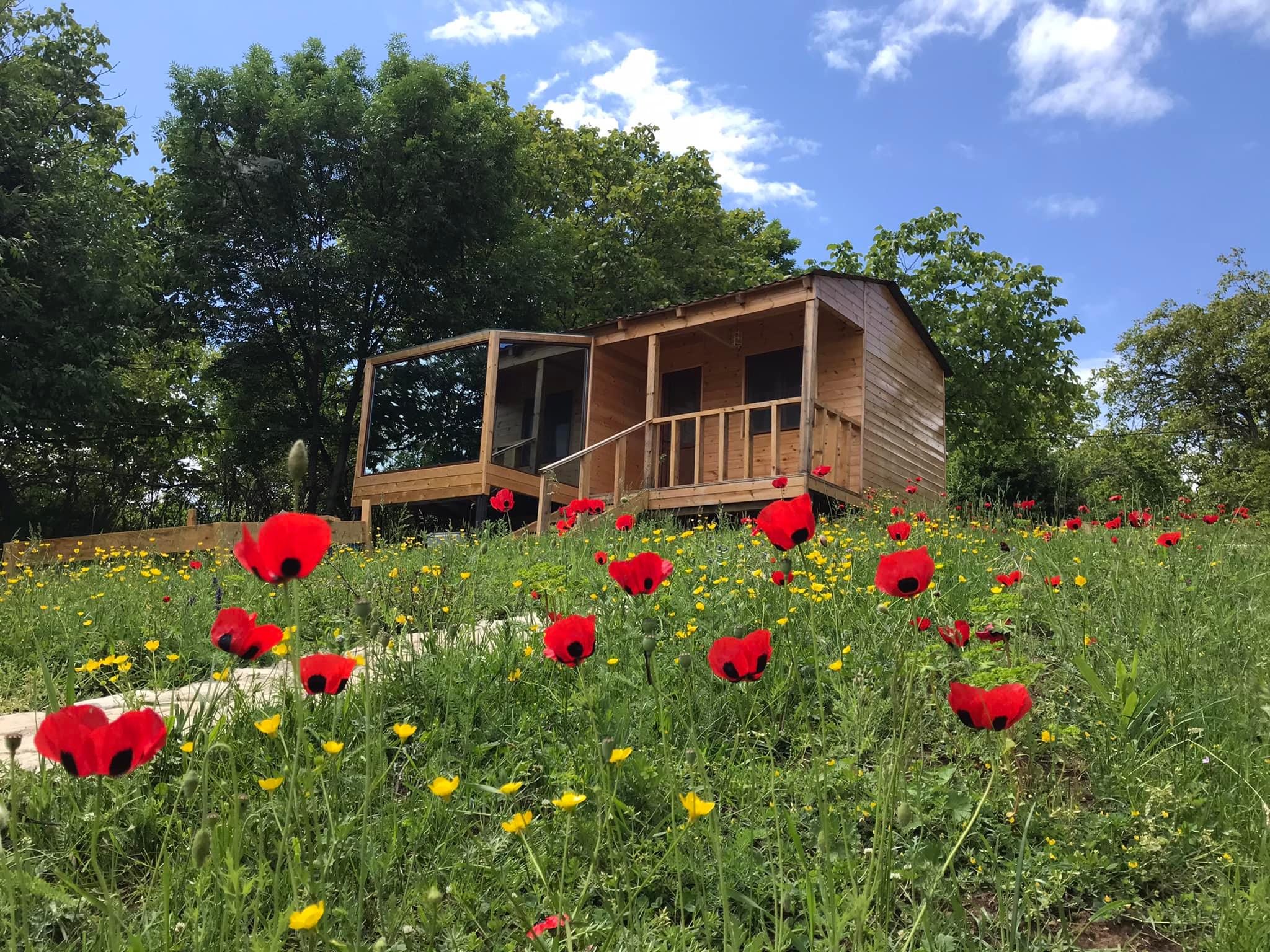 Photo of Villaggio Mirzaani Resort