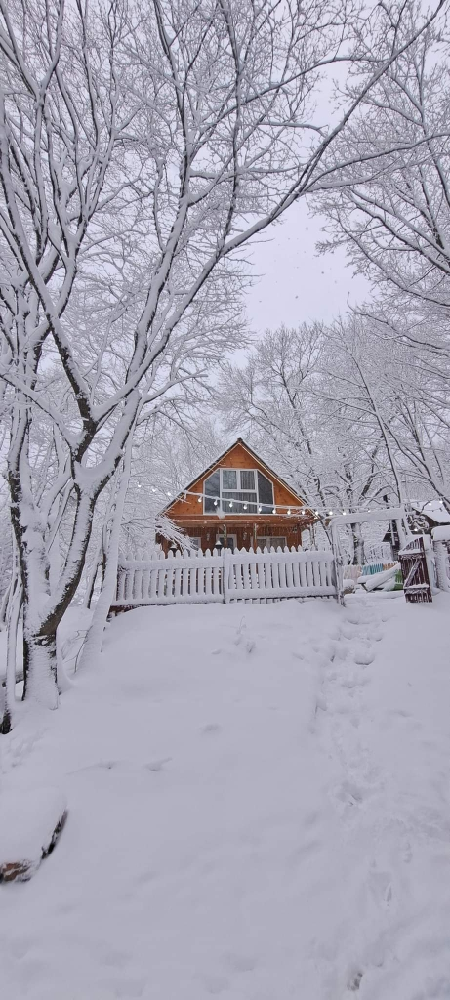 Фото Wooden cottage in Tskhvarichamia