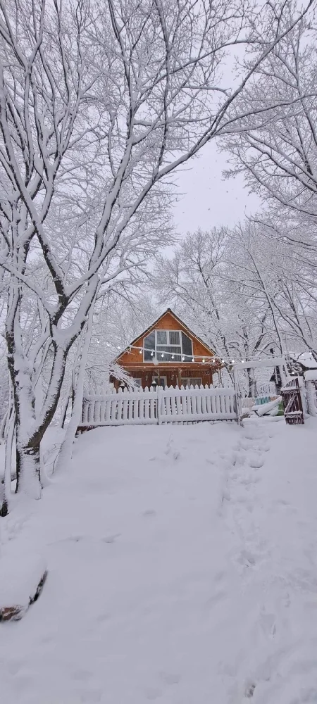 Photo of Wooden cottage in Tskhvarichamia