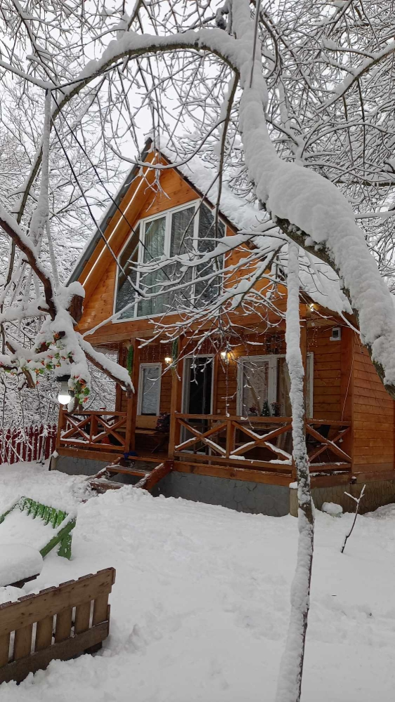 Фото Wooden cottage in Tskhvarichamia