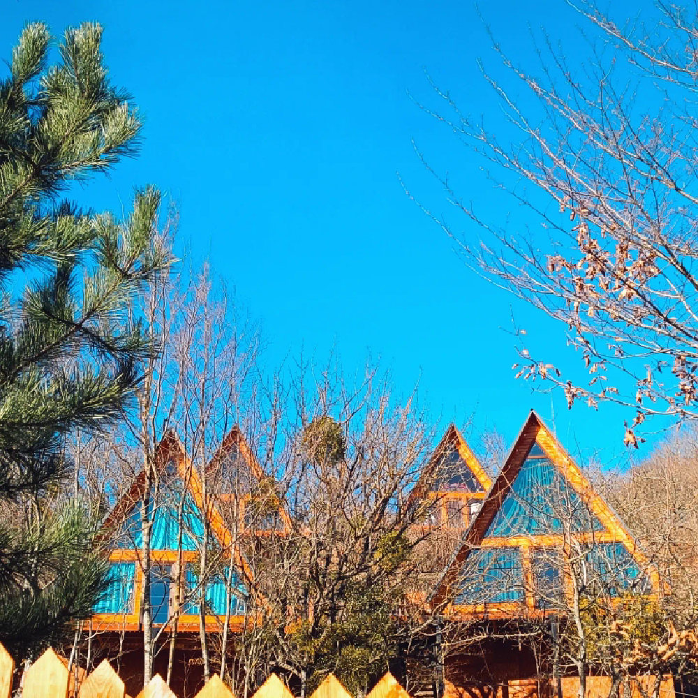 Фото Wooden cozy A-Frame in Tskhvarichamia