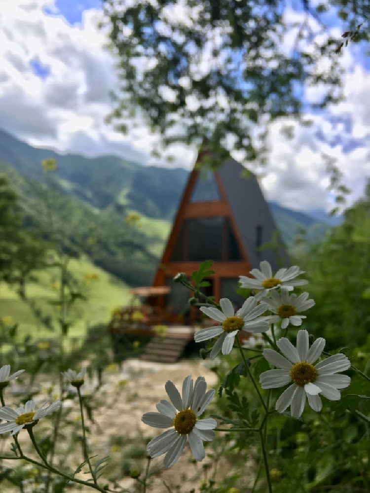 Photo of Wooden family-friendly Private house in Didebani