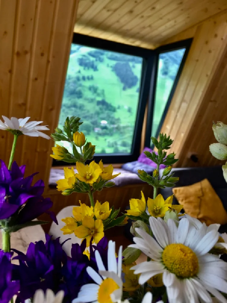 Photo of Wooden family-friendly Private house in Didebani
