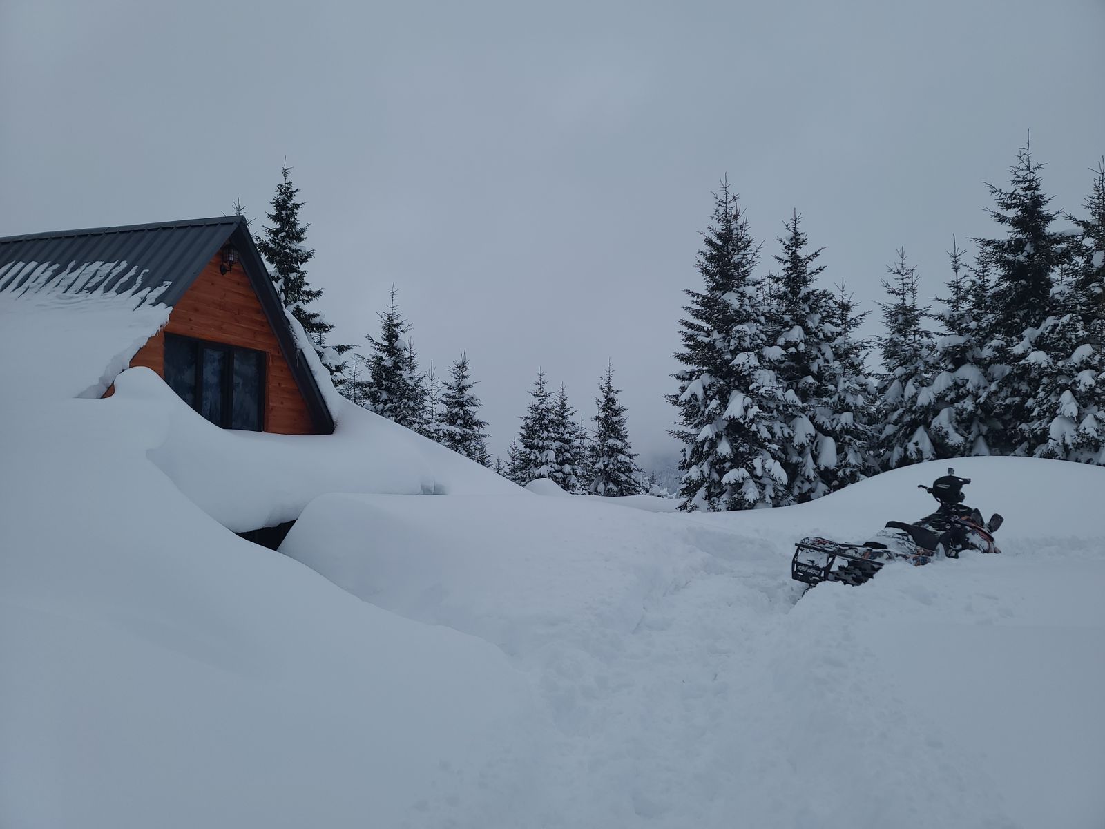 ✨ Video